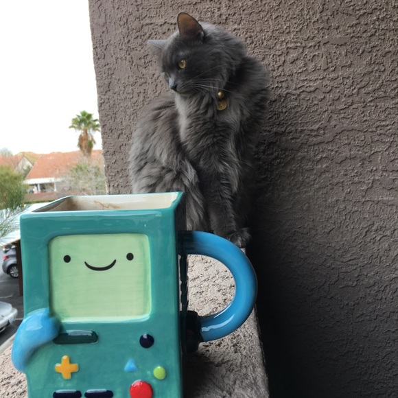 Meet your Posher, Meitra - Picture 2 of 7